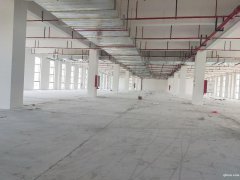 【园区直招】苏通园区全新厂房，面积1150平，单层独栋均有