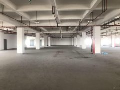 市北全新办公室厂房招租 带食堂超市 可分割  可注册